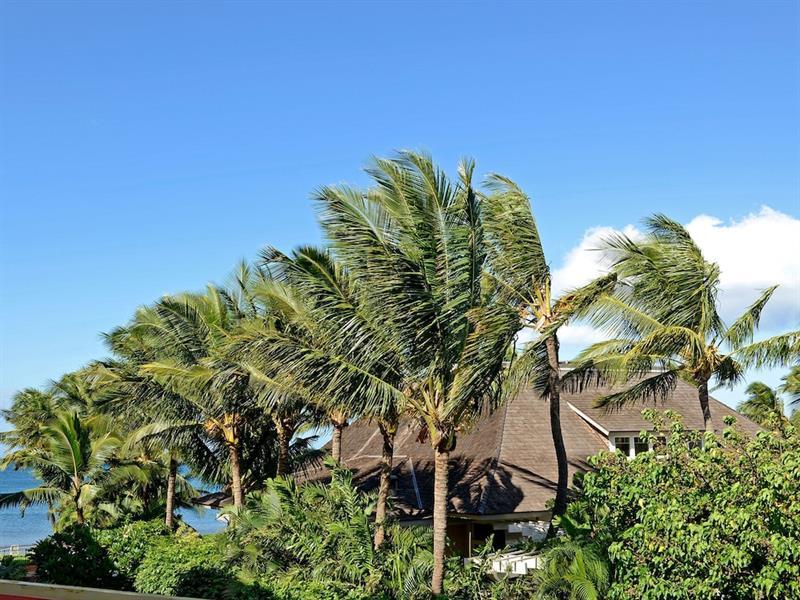 Nani Kai Hale 303 By Vacation Rental Pros Vr Kihei Esterno foto